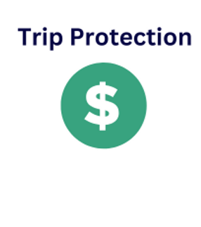 VISIT - ICON TRIP PROTECTION.png