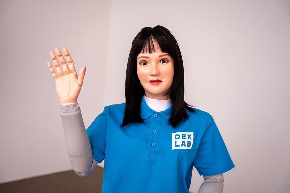 Reimagining Eldercare Support through Social Robotics. A Productivity-Enabling Approach