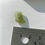Thumbnail: 0.68g Moldavite 