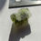 Thumbnail: 3.46g Chlum Moldavite 