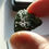 Thumbnail: 9.22g Chlum Moldavite 