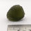 Thumbnail: 2.62g Chlum Moldavite 