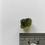 Thumbnail: 1.05g Moldavite 