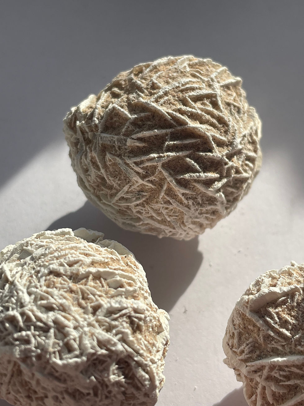 Thumbnail: Medium Desert Rose