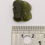 Thumbnail: 2.60g Chlum Moldavite 