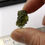 Thumbnail: 2.73g Chlum Moldavite 