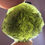 Thumbnail: 30.93g Jakule Moldavite 