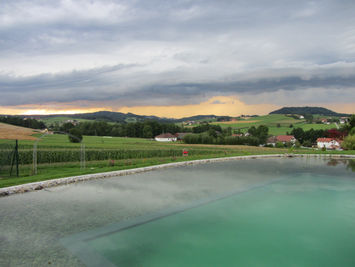 IMG_2983.JPG