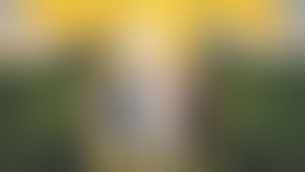 ERNIE HAASE & SIGNATURE SOUND RELEASE NEW ALBUM KEEPING ON