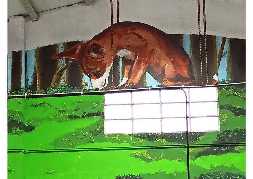 Detalhe da Raposa sentada na janela do mural da Loja Petlandia em Albufeira. A raposa, com expressão de observação e inteligência, vigia o cenário, pintada com tinta de água e acrílicos no interior comercial.