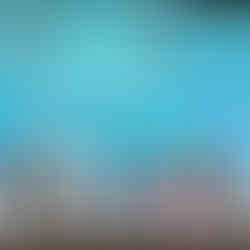 Toyota Eco Youth 2025