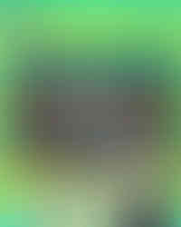 19th Toyota Dream Car Art Contest