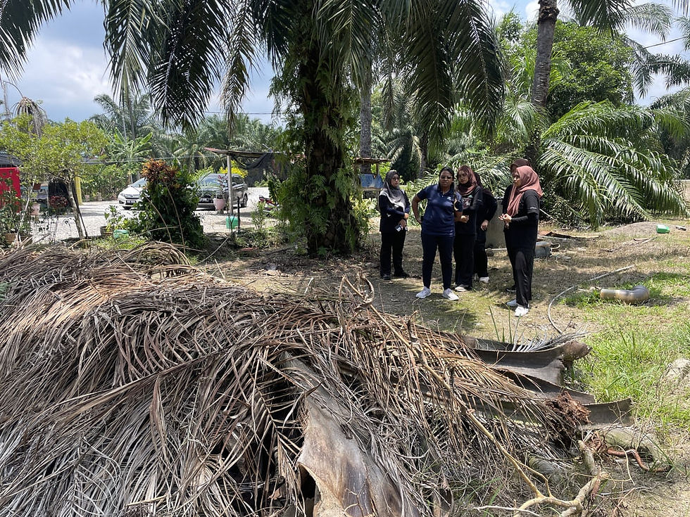 Toyota Eco Youth 2025