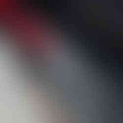 MINI 1965 Victory Edition