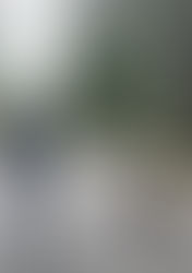 Who Is the Walk For?