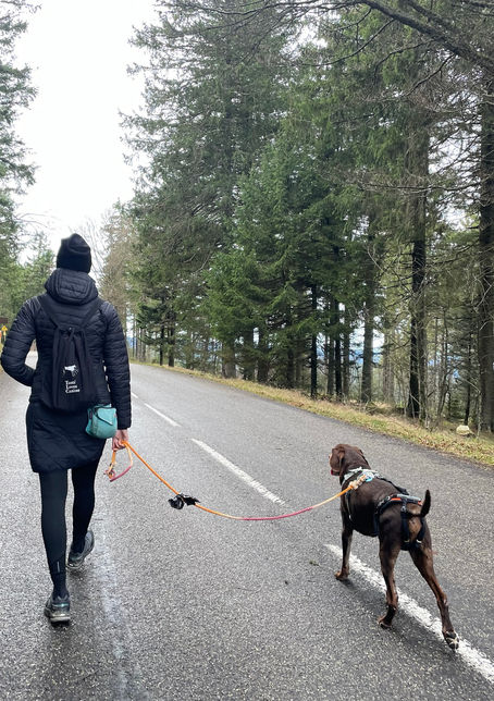 Who Is the Walk For?