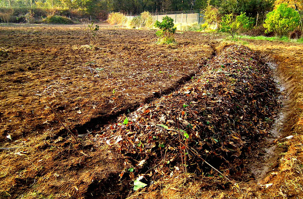 Cama elevada - Lavra