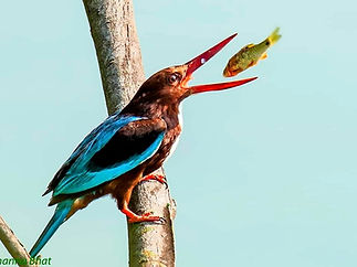 IMG-20190616-WA0060_edited_edited.jpg