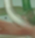 mini crop 1.jpg