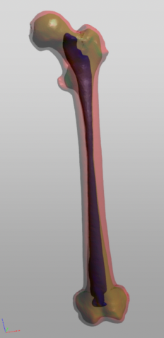 ree