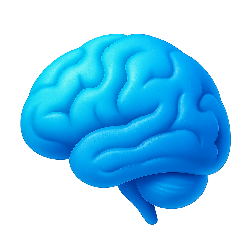 ChatGPT Image 21 ago 2025, 01_20_04 p.m..png