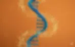 Ilustración de ADN representando medicina regenerativa y terapias anti-edad en Xtabay Clínica Estética.
