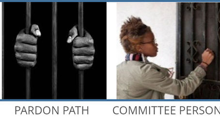 Candidate Questionnaires; Wards 101 Workshops: How to Become a Committee Person; Beloved Community Teach-In