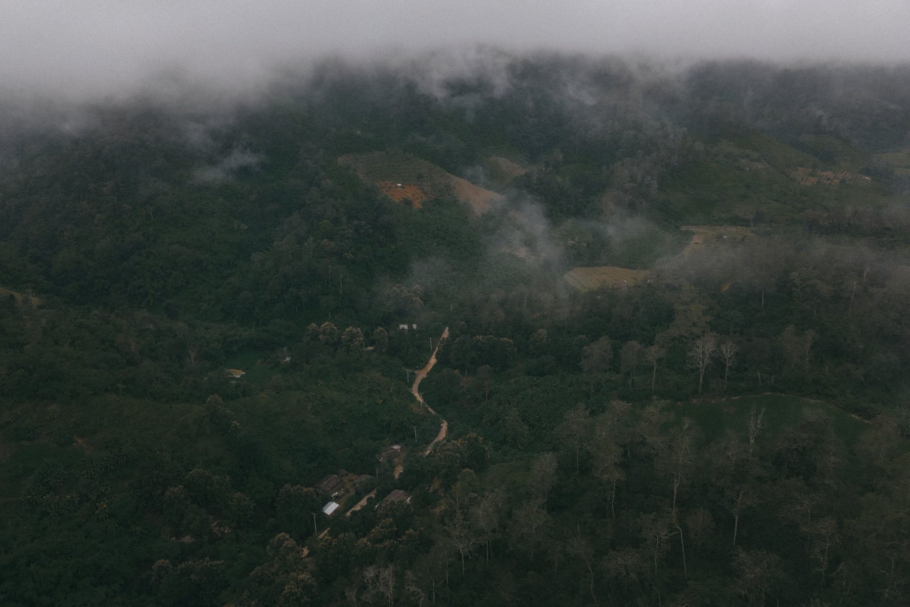 Yazama Reviews G1 17.jpeg