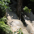 IMG_5378 2.JPG