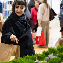 Sabzeh (green sprouts) displayed at Pomexpo Norooz Bazaar