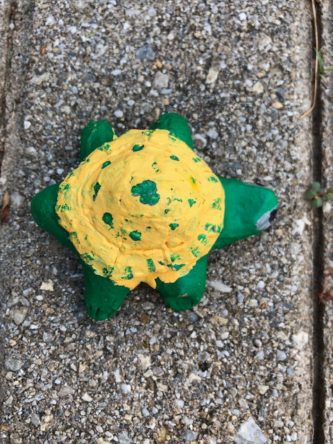 Thumbnail: Turtle Whistle