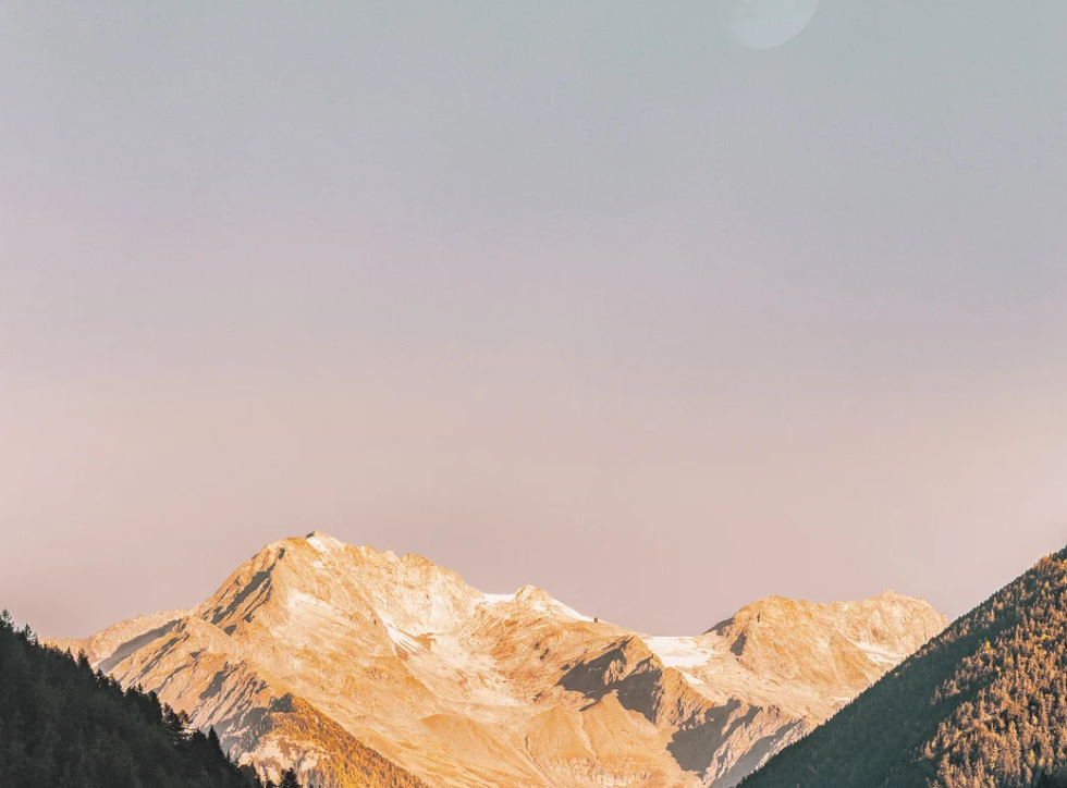 Screen Shot 2025-05-29 at 2.46.04 PM.png