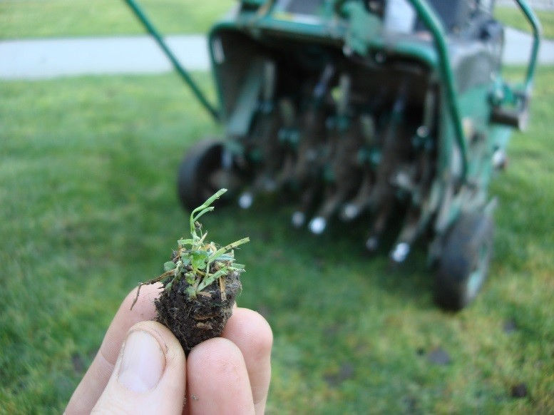 How Lawn Aeration Leads to Beautiful Grass