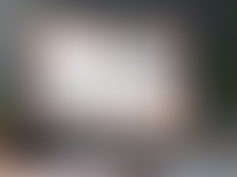 Ruhsat Alma İşlemleri