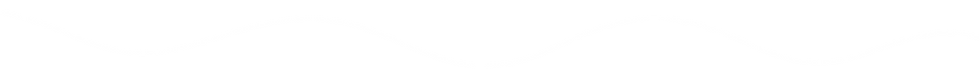 1名称未設定 (1265 x 100 px).png