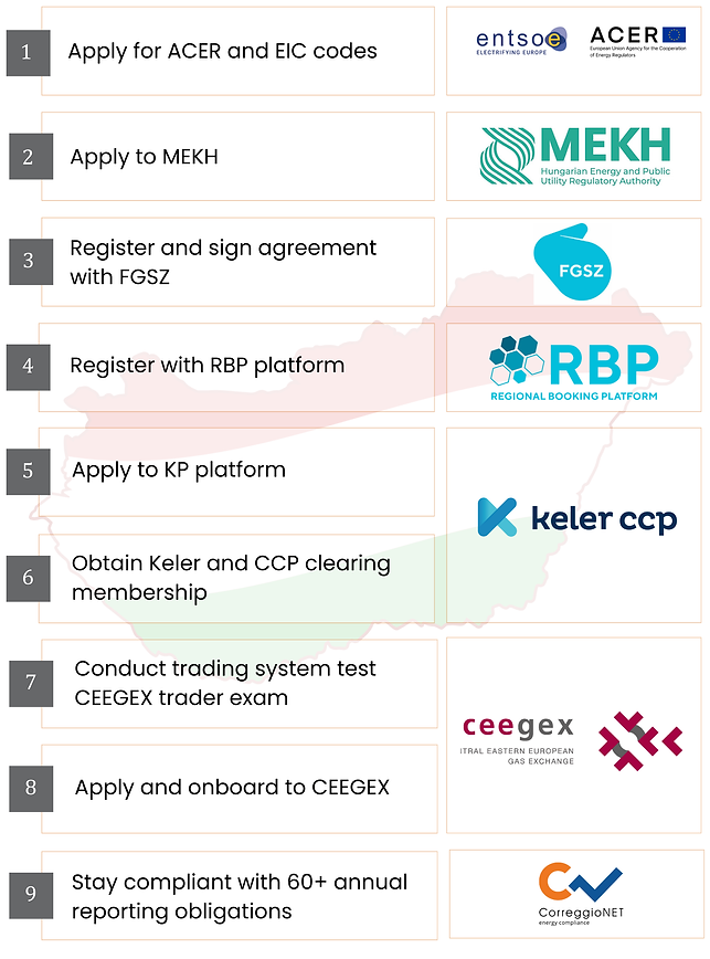 HUNGARY GAS Market Access Steps