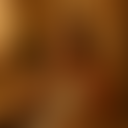 Converse como amiga, gere conexão e converta seguidores em clientes