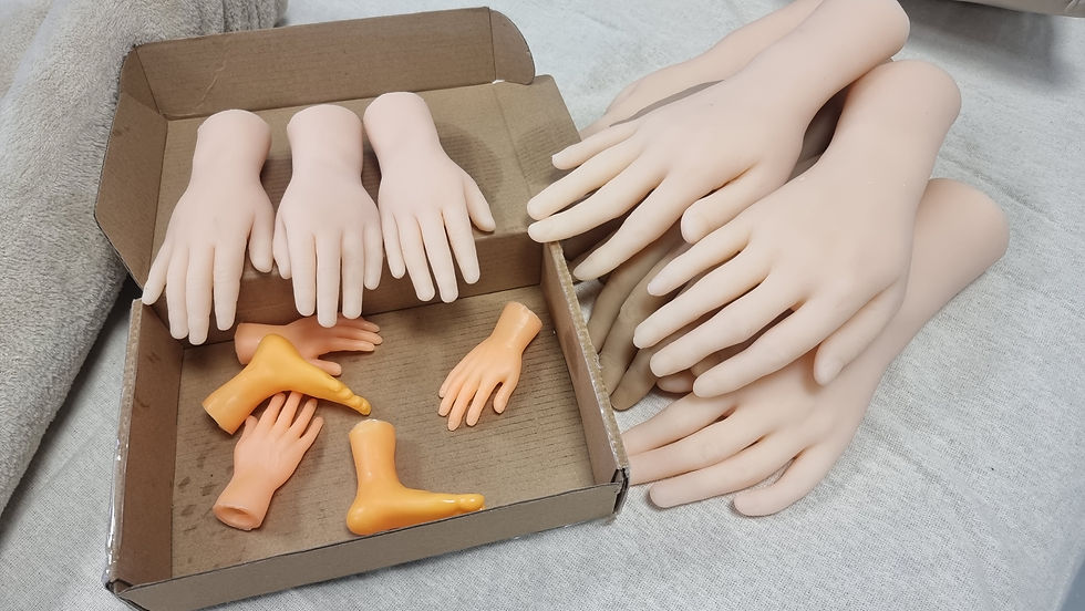 bodycasting- leren-opleiding-dieren-hond-paard