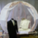 Cinderella's Carriage