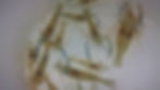 Thumbnail: ** 25 Freshwater Prawns- Small Juveniles **