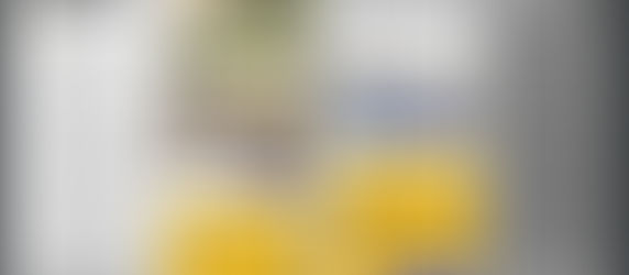 VIVRE LOON-PLAGE parle de nous.