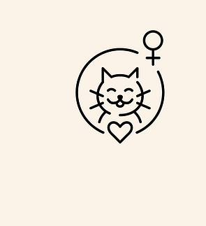 CatSpay.png