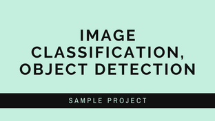 Image Classification, Object Detection: I Sample Project