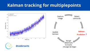 Kalman tracking for multiplepoints - Sample Assignment