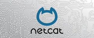 How to Run TCP client using Netcat in Python