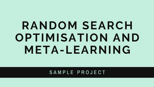 Random Search Optimisation and Meta-Learning I Sample Assignment