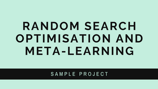 Random Search Optimisation and Meta-Learning I Sample Assignment