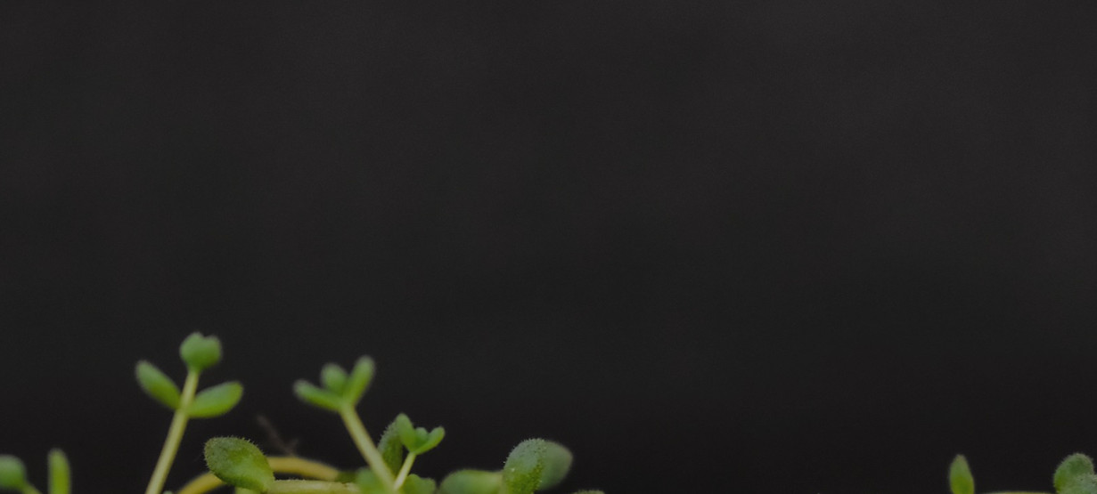 REF_ F0002_edited.jpg