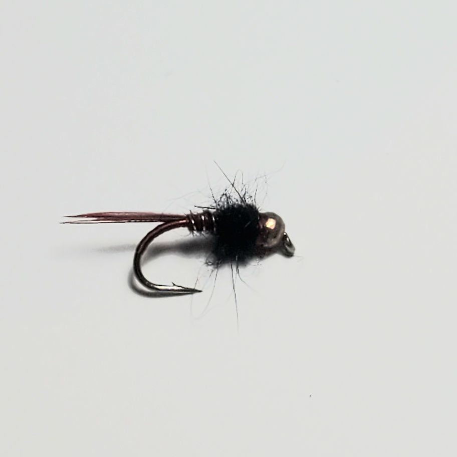 Weighted fishing nymph fly: Black possum dubbing body, red pheasant tail, copper tungsten bead head on a #12 , #16 grub hook
