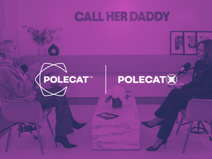 Polecat's Place in the Changing Media Landscape